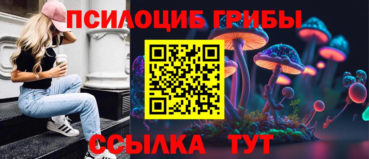 Псилоцибиновые грибы Psilocybine cubensis Иркутск