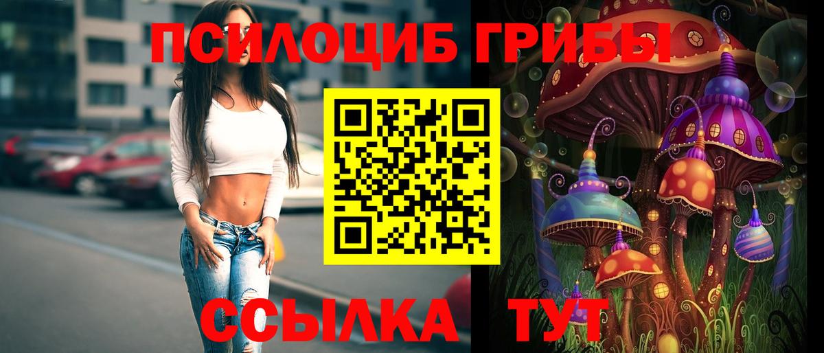 Псилоцибиновые грибы GOLDEN TEACHER  Вход с VPN  Псилоцибиновые грибы MAGIC MUSHROOMS  Иркутск 